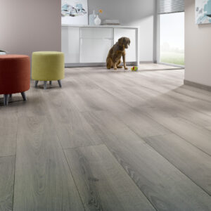 Laminate AGT - Alara Oak(205) 8mm AC4