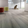 Laminate Alsapan - Grey Building(437) 7mm AC4