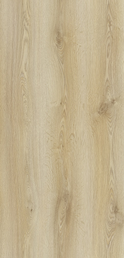 Laminate AGT - Trend Oak(501) 8mm AC4